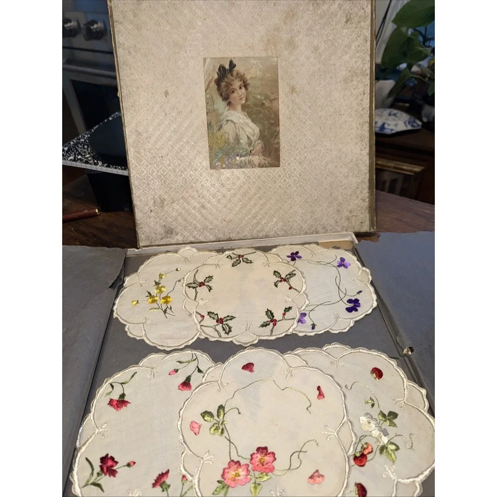 Vintage Society Silk Doilies Cocktail Rounds Hand Embroidered Set 6 Box New